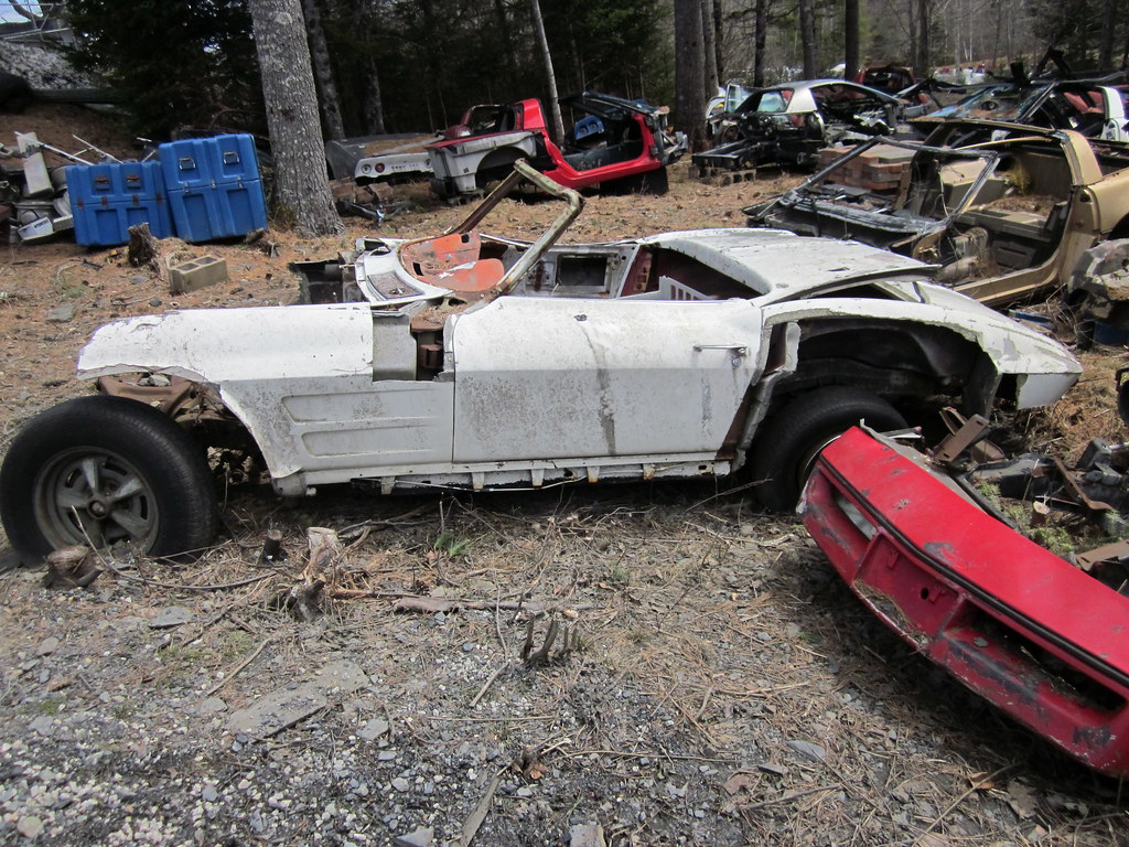 Orrie's Run to Bridgewater / Moland's 2015 photo 95