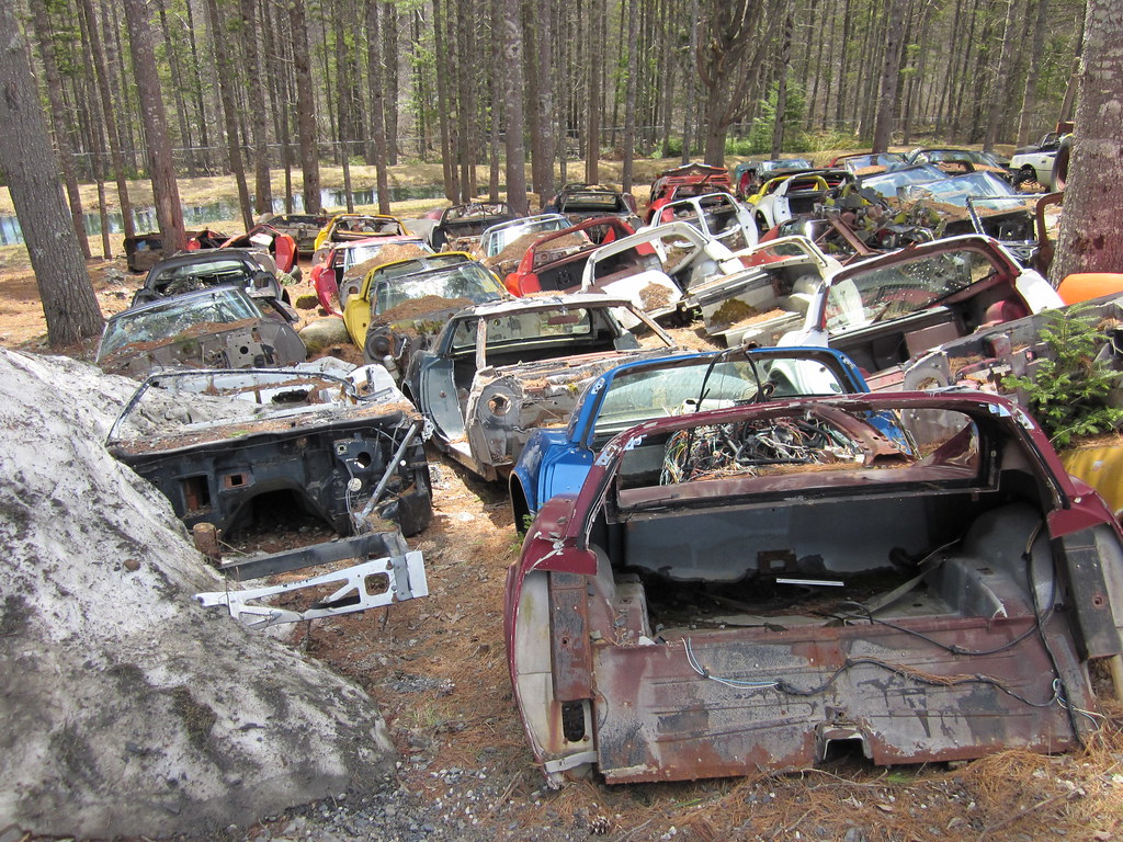 Orrie's Run to Bridgewater / Moland's 2015 photo 80