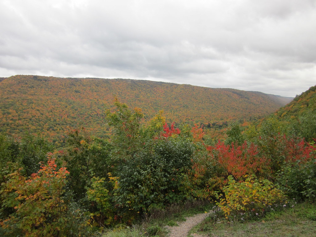 Cabot Trail Run 2016 photo 59