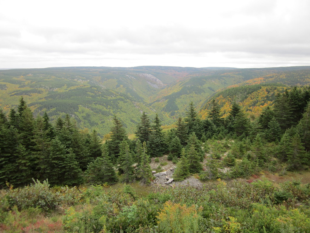 Cabot Trail Run 2016 photo 83