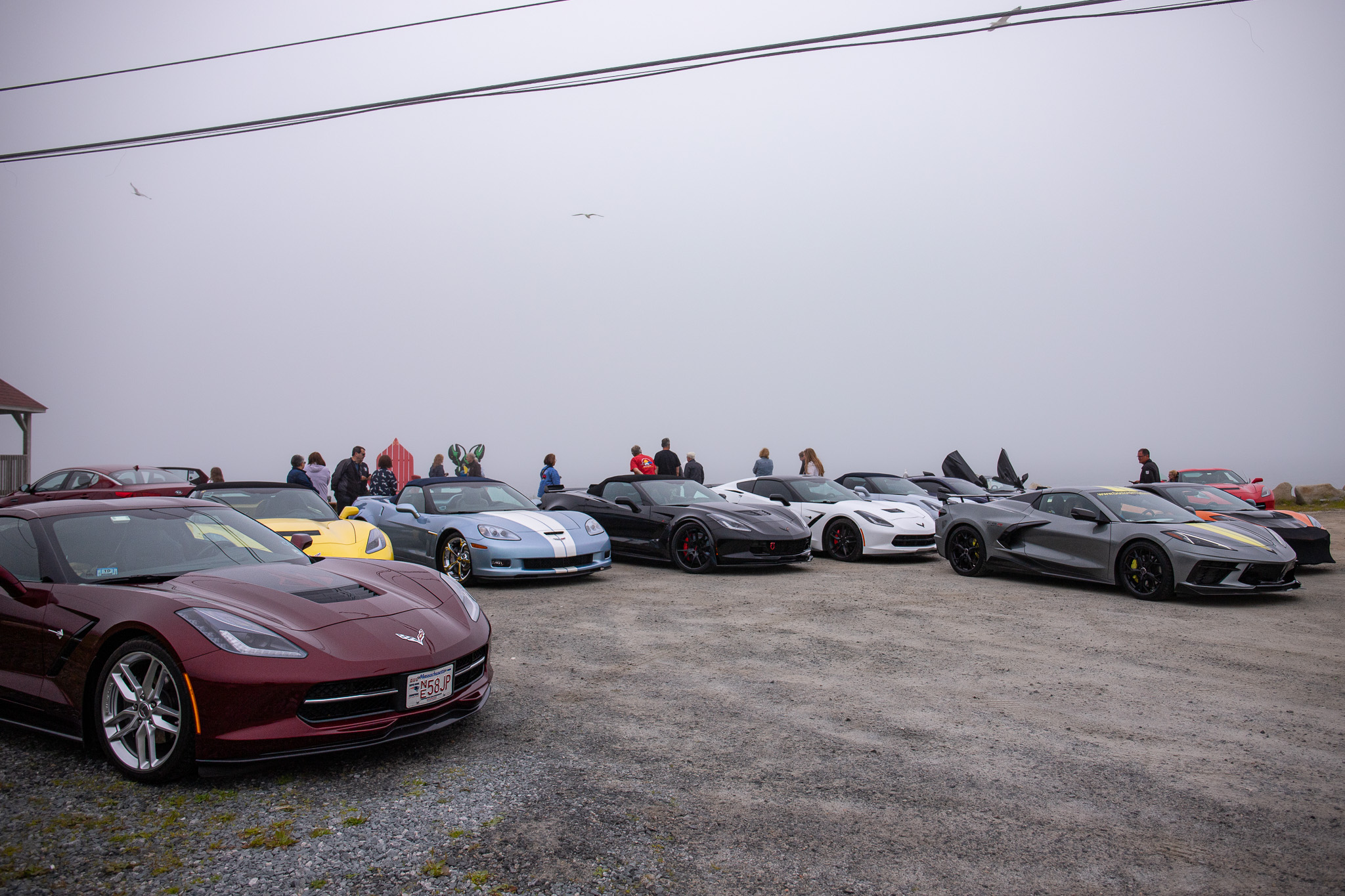 Maritime Meet 2026 photo 152
