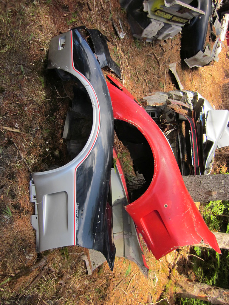 Orrie's Run to Bridgewater / Moland's 2015 photo 94