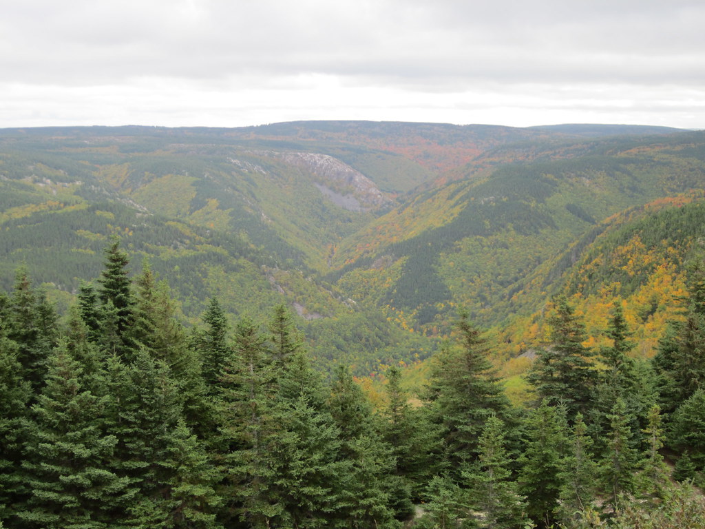 Cabot Trail Run 2016 photo 86