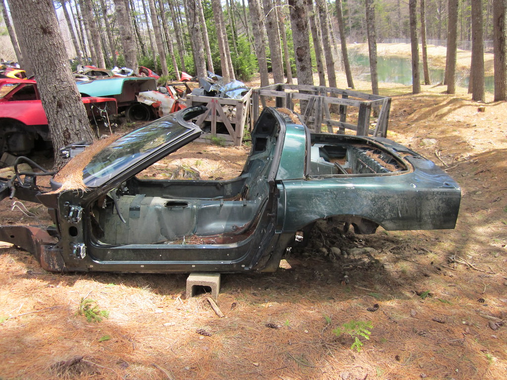 Orrie's Run to Bridgewater / Moland's 2015 photo 85