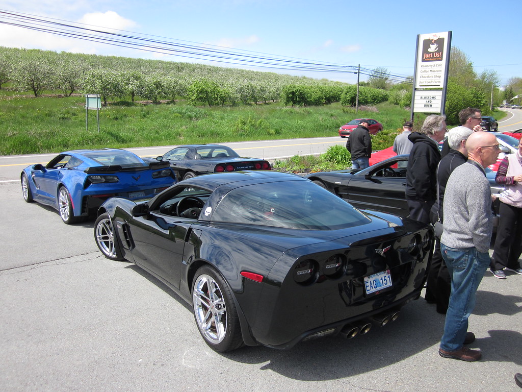 Calvin & Linda's Run to Granville Ferry / Cecil Stewart's 2017 photo 57