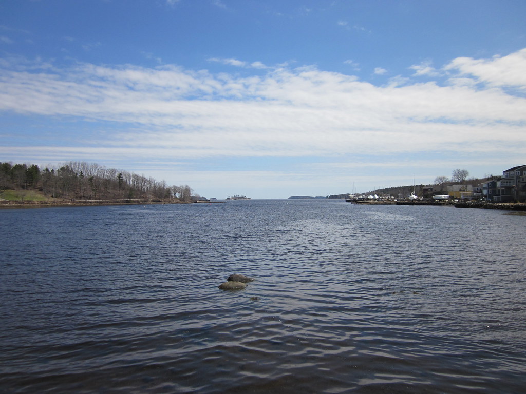 Orrie's Run to Bridgewater / Moland's 2015 photo 50