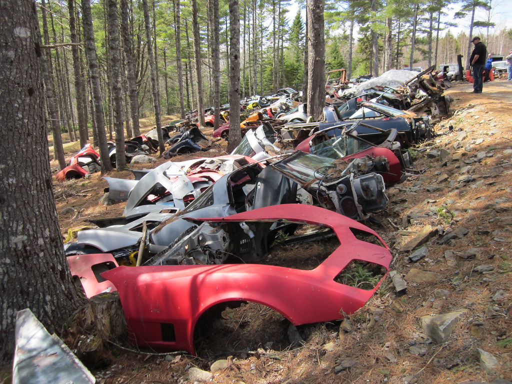 Orrie's Run to Bridgewater / Moland's 2015 photo 91