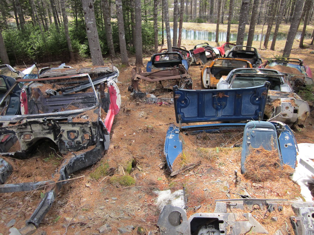Orrie's Run to Bridgewater / Moland's 2015 photo 79