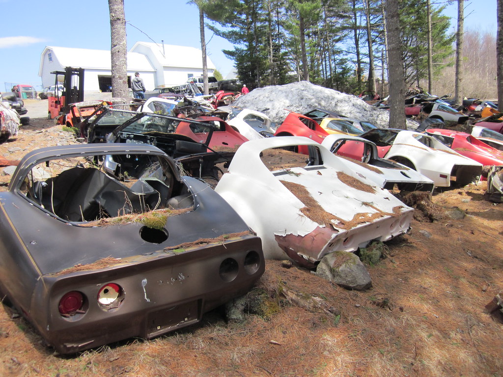 Orrie's Run to Bridgewater / Moland's 2015 photo 81