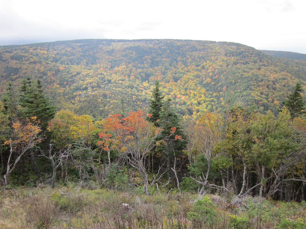 Cabot Trail Run 2016 photo 91
