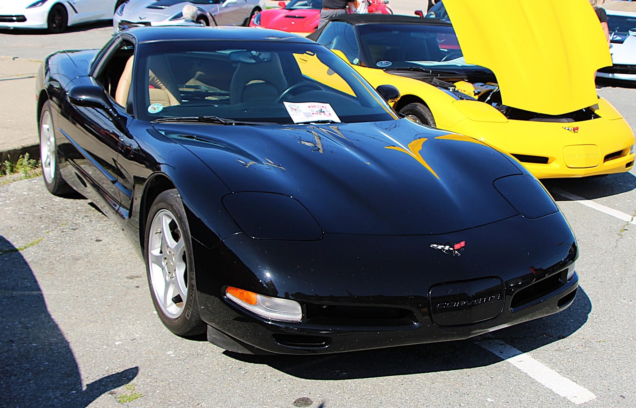 Maritime Meet 2026 photo 8
