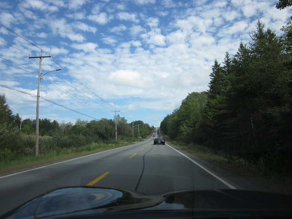 Cynthia's Run 2016 photo 31