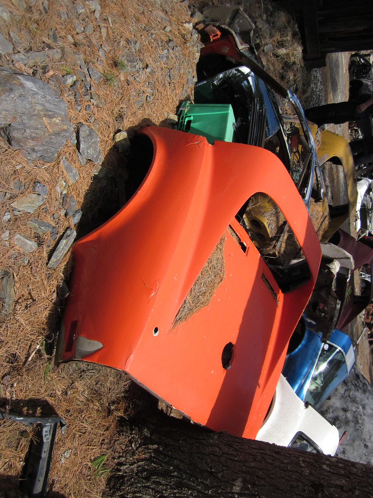 Orrie's Run to Bridgewater / Moland's 2015 photo 87