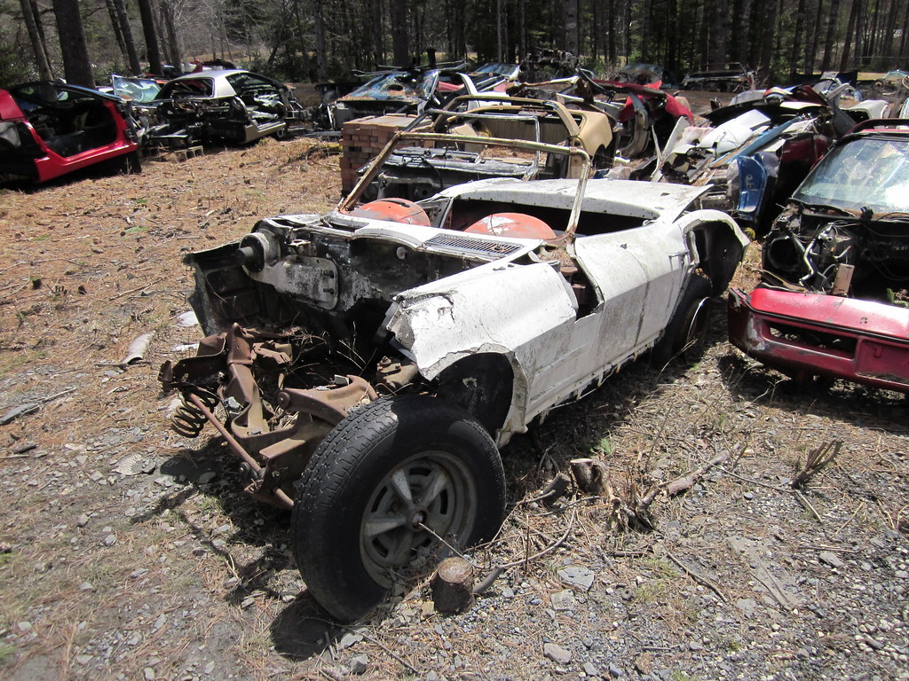 Orrie's Run to Bridgewater / Moland's 2015 photo 77